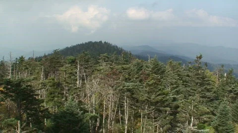 Clingmans Dome 1 Stock Footage 717183