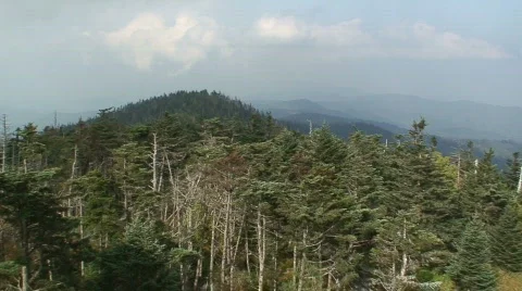 Clingmans Dome 2 Stock Footage