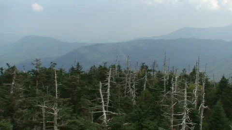 Clingmans Dome 3 Stock Footage 717407