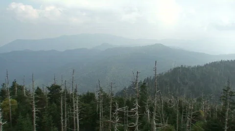 Clingmans Dome 4 Stock Footage 717488