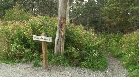 Clingmans Dome 7 Stock Footage 717691