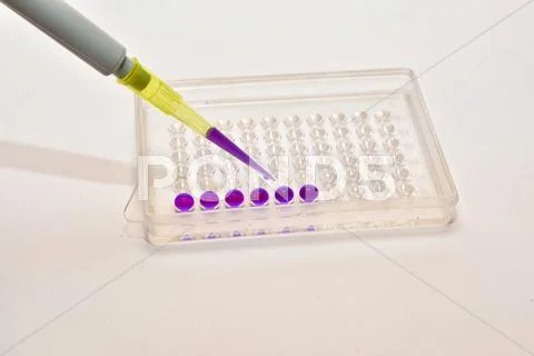 In clinical diagnostic laboratories. Stock Photos
