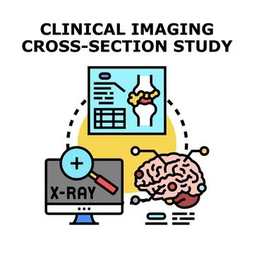 Clinical imaging cross section study development 库存插图
