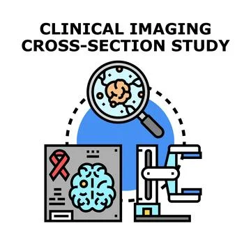 Clinical imaging cross section study vector icon illustrating medical diagnos Stock Illustration