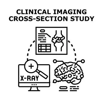 Clinical imaging cross section study development Stock Illustration