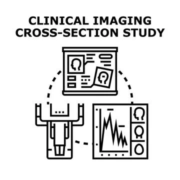 Clinical imaging cross section study vector illustration Stock Illustration