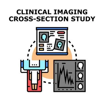 Clinical imaging cross section study vector illustration Stock Illustration