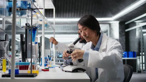 Clinical microbiologist examining microscope glass slide in laboratory to view Stock Footage 320146379