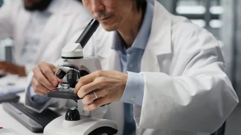 Clinical microbiologist examining microscope glass slide in laboratory to view Stock Footage 320722249