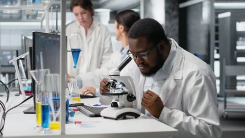 Clinical microbiologist operating compound microscope, recording findings Stock Footage 320146448