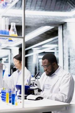 Clinical microbiologist operating compound microscope Stock Photos