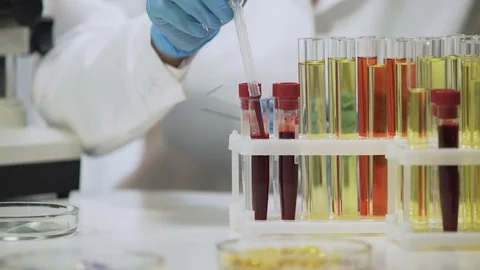 Clinical test, laboratory scientist analyzing blood samples under microscope Stock Footage 73739773