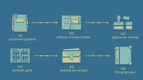 Clinical Trial Protocol Approval Stages Arranged in Paired Rows Stock Footage 345500703