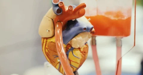 Clinical trials study of a functioning robotic model of the heart in the clinic Stock Footage 117219650