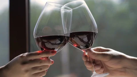 Clinking glasses with red wine and toasting Stock Footage 126299304