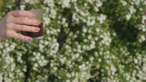 Clinking of two glasses. Two girls clink glasses. Two girls clink glasses of Stock Footage 262534528