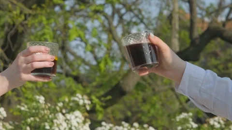 Clinking of two glasses. Two girls clink glasses. Two girls clink glasses of Stock-Footage 262770818