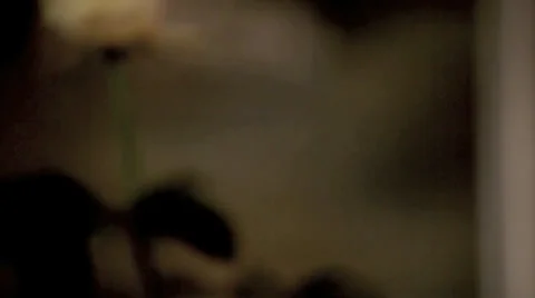 Clinking of Wineglasses Stock Footage 36052733