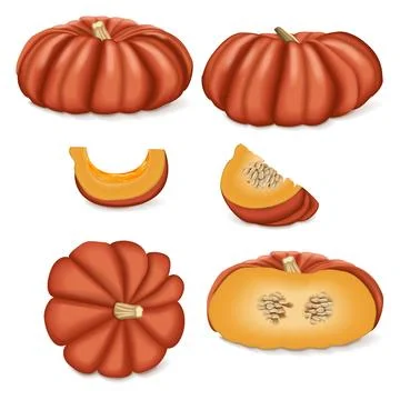 Clip art of Cinderella pumpkin. Stock Illustration