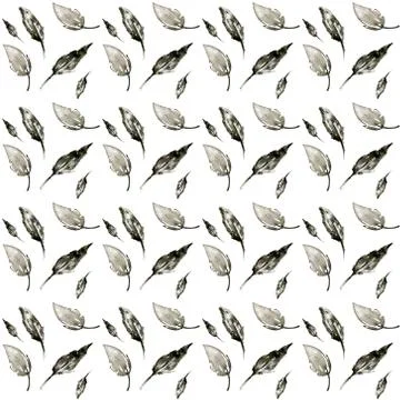 Clip art pattern with hand drawn feathers on white background. Ink style boho Stock Photos