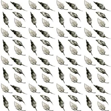 Clip art pattern with hand drawn feathers on white background. Ink style boho Stock Photos