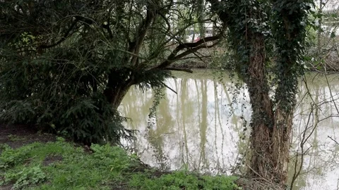 A clip of a footpath along the River Soar Leicester, UK. Stock-Footage 238746610