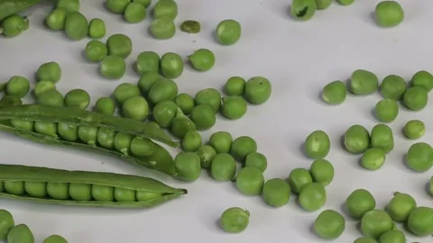 Clip panning from left to right, showcasing a partially opened pod of green.. Stock-Footage 302294727