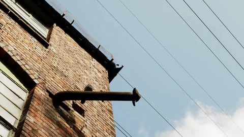 A clip of a pigeon on a rusted pipe Stock Footage 241508758