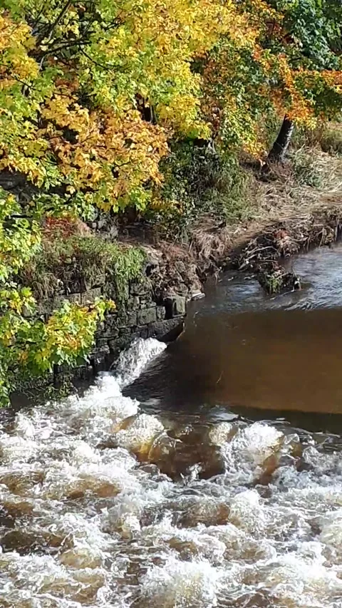 Clip of the powerful River Calder as it flows through Padiham Stock Footage 164388355