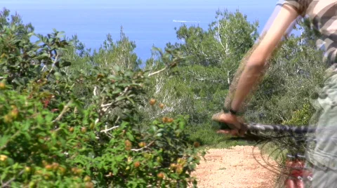 Clip Sequence.   Vídeos de archivo 751039