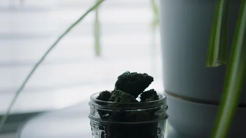 Clip4 스톡 동영상 94352444