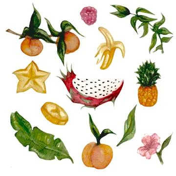 Clipart fruit Stock Illustration