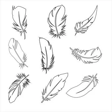 Clipart, a set of individual elements of feathers for creating a design, vect Stock Illustration