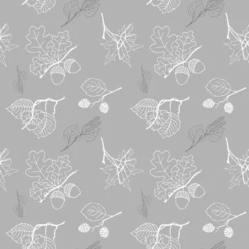 Clipart, a set of vector drawings, tree branches for design, graphics Stock Illustration