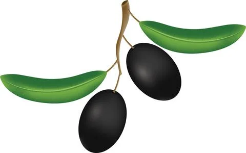 Clipart Vector Black Olive Stock Illustration