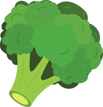 Clipart Vector Broccoli Illustrazione stock