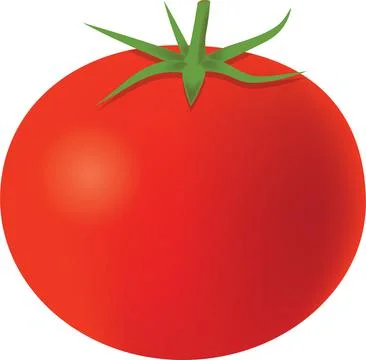 Clipart Vector Tomato Stock Illustration