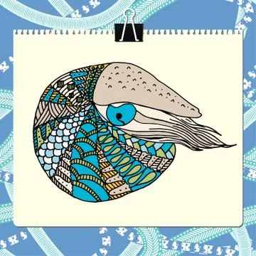 Clipboard and sheet of paper with colored zentangle nautilus vector illustration Stock Illustration