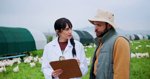 Clipboard, conversation or poultry with farmer and vet outdoor in countryside Video stock 335930884
