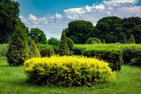 Clipped bushes in topiary different shape. Stock Photos