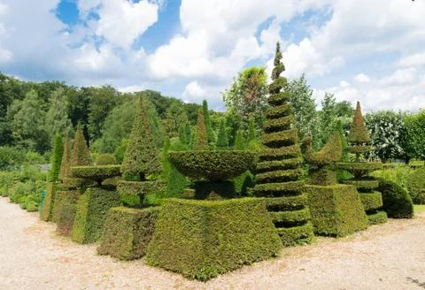 Clipped hedged Stock Photos