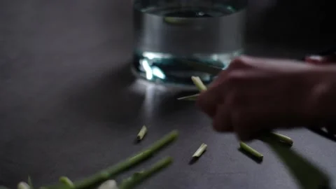 Clipping flowers Video stock 233513000