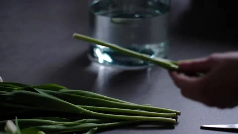 Clipping flowers Video stock 233513003