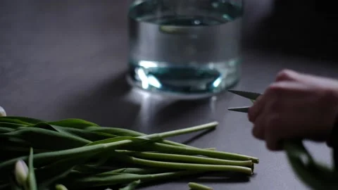 Clipping flowers Video stock 233513013