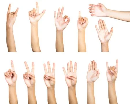 Clipping path of multiple female hand gesture isolated on white background. I Stock Photos