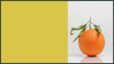 Clips for selling oranges with empty space Stock Footage 125523486