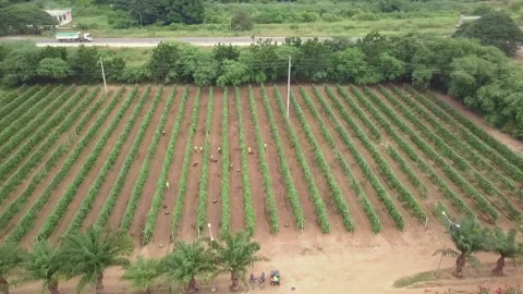 CLIPS STOCK Stock Footage 322018392