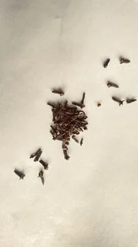 Clobe and background backside Stock Photos