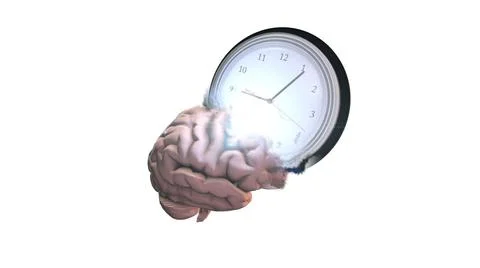 Clock and Brain - Abstract Representation of Time Perception Stock Illustration