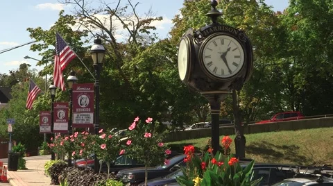 Clock and Flowers in Harrison Stock Footage 44340524